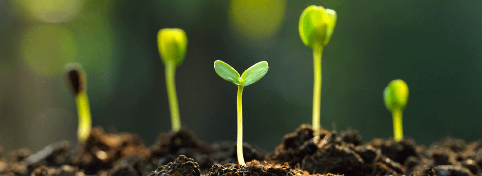 L’accès public aux informations environnementales dans le cadre de la négociation d’un marché public en Espagne